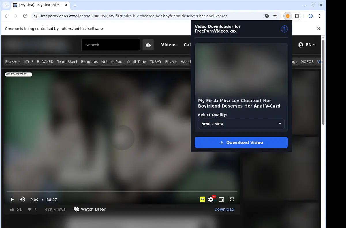Freepornvideosxxx Video Downloader browser extension screenshot 3