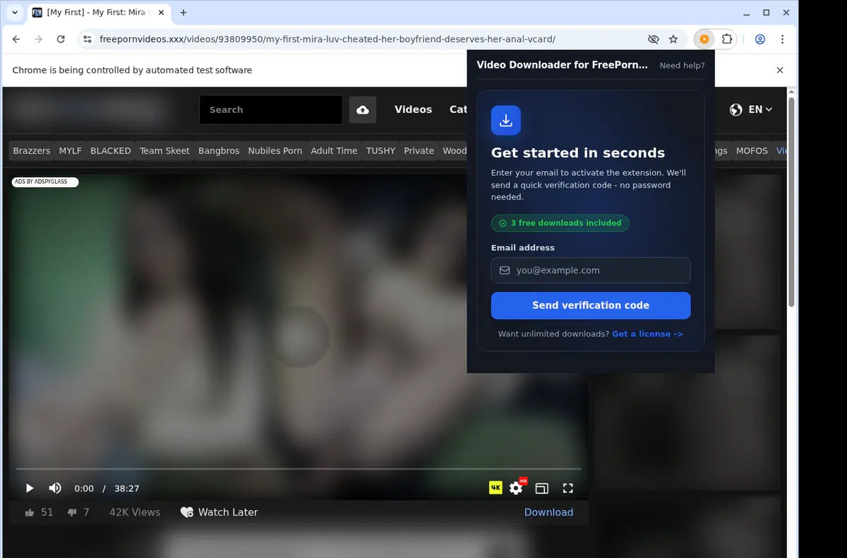 Freepornvideosxxx Video Downloader browser extension screenshot 5